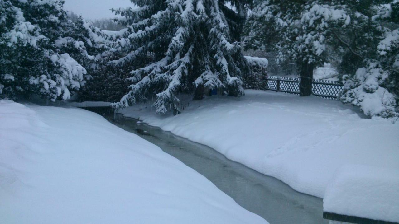 Villa Wohnen im Hühnerhaus Thale Exterior foto